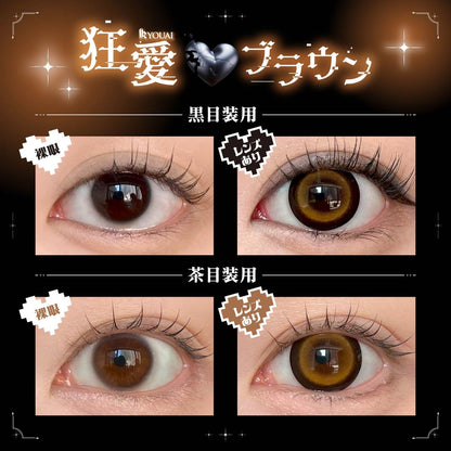 DUSTITY 1DAY KYOUAI BROWN(1BOX 10SHEETS) 0