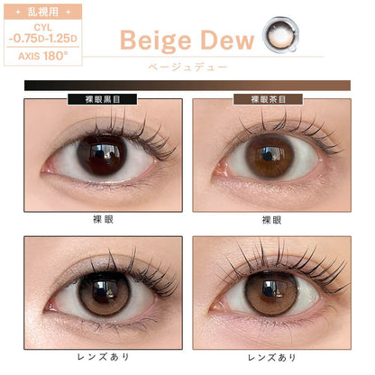 DEWLIT SILICONE HYDROGEL TORIC 1DAY BEIGE DEW CYL-1.25(1BOX 10SHEETS) 0