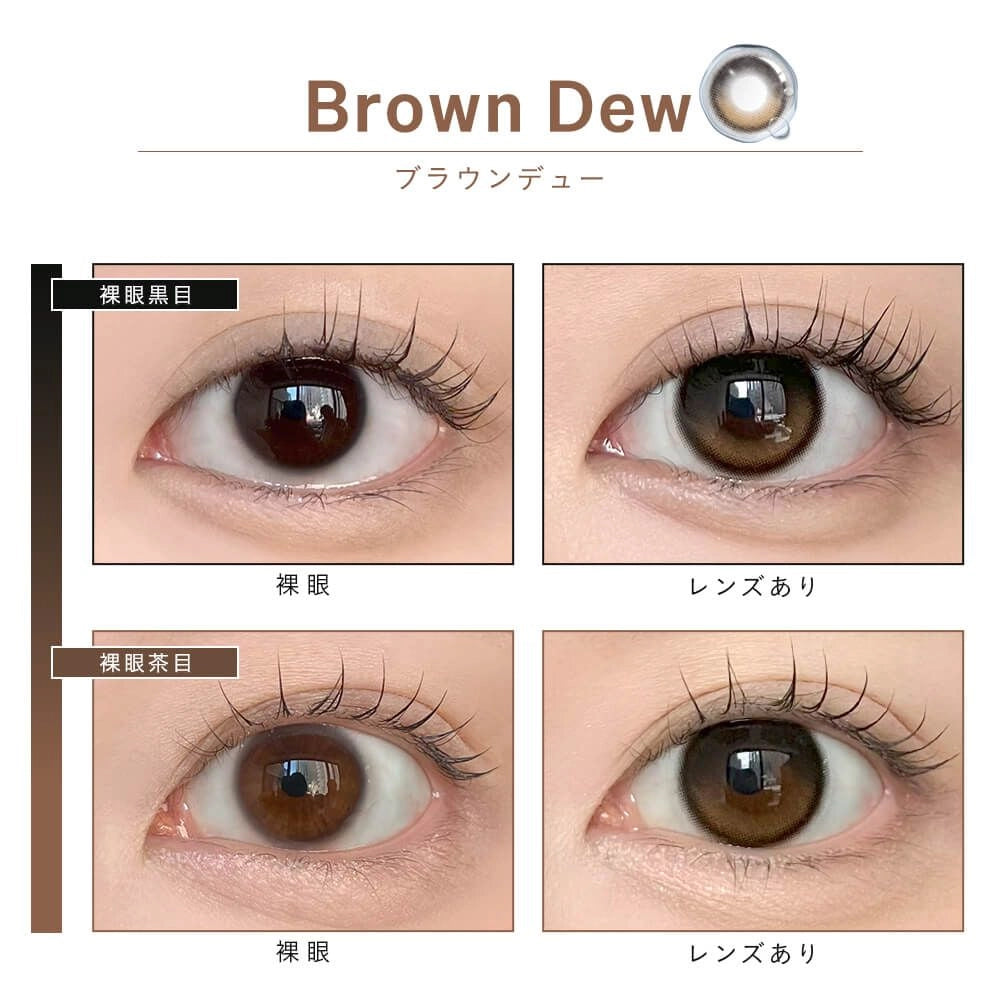 DEWLIT SILICONE HYDROGEL 1DAY BROWN DEW(1BOX 10SHEETS) 0