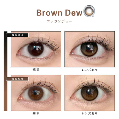 DEWLIT SILICONE HYDROGEL 1DAY BROWN DEW(1BOX 10SHEETS) 0