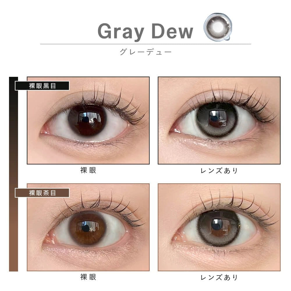 DEWLIT SILICONE HYDROGEL 1DAY GRAY DEW(1BOX 10SHEETS) 0