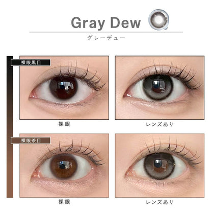 DEWLIT SILICONE HYDROGEL 1DAY GRAY DEW(1BOX 10SHEETS) 0