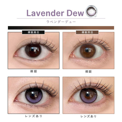 DEWLIT SILICONE HYDROGEL 1DAY LAVENDER DEW(1BOX 10SHEETS) 0