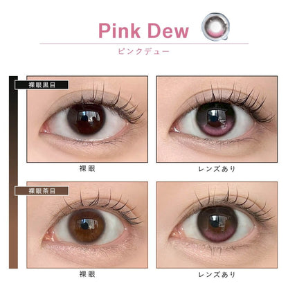 DEWLIT SILICONE HYDROGEL 1DAY PINK DEW(1BOX 10SHEETS) 0