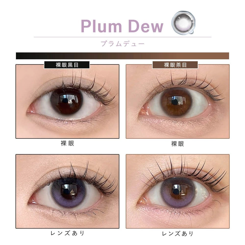 DEWLIT SILICONE HYDROGEL 1DAY PLUM DEW(1BOX 10SHEETS) 0