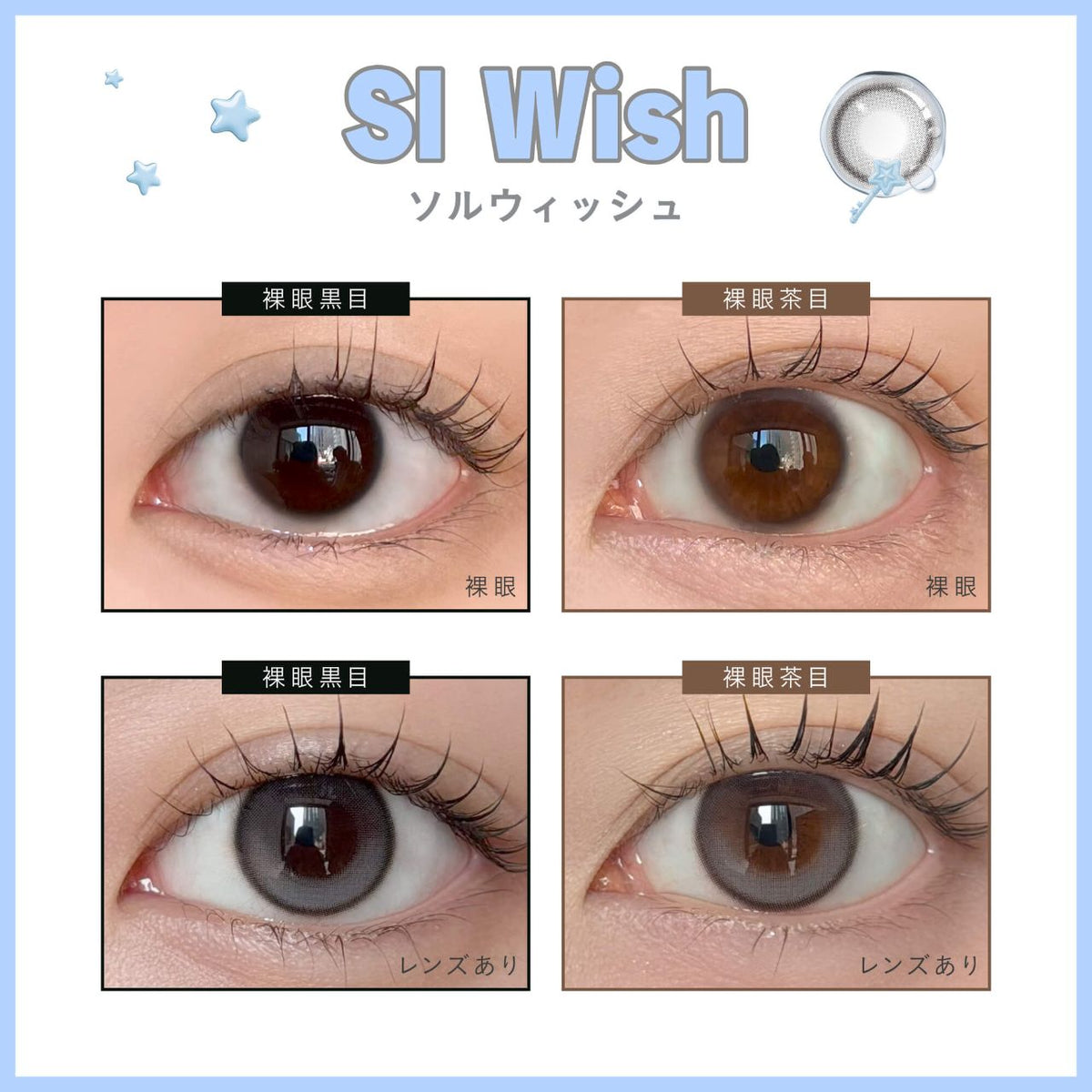 DEWLIT SILICONE HYDROGEL 1DAY SL WISH(1BOX 10SHEETS) 0