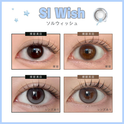 DEWLIT SILICONE HYDROGEL 1DAY SL WISH(1BOX 10SHEETS) 0