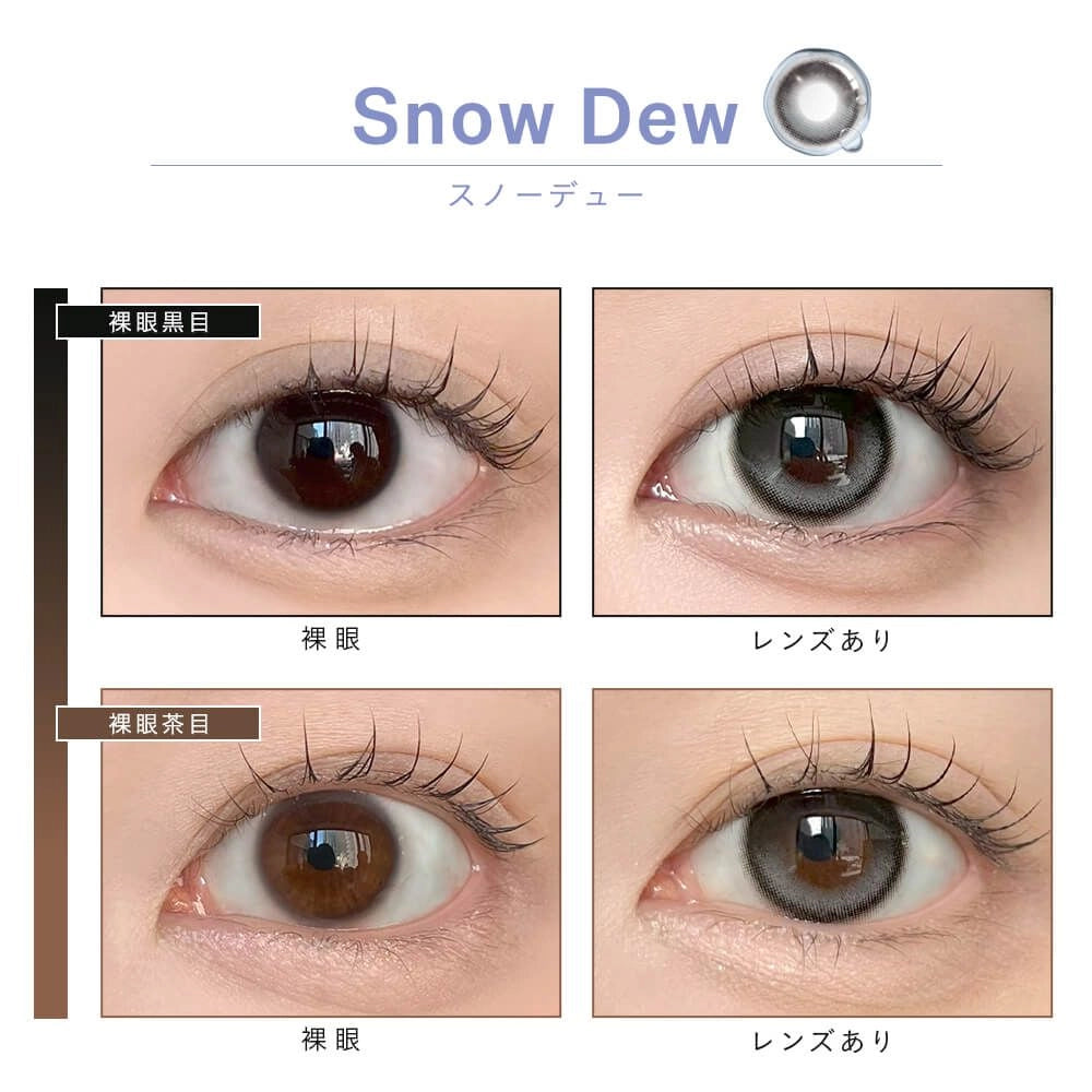 DEWLIT SILICONE HYDROGEL 1DAY SNOW DEW(1BOX 10SHEETS) 0