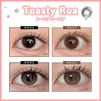 DEWLIT SILICONE HYDROGEL 1DAY TOASTY ROA(1BOX 10SHEETS) 0