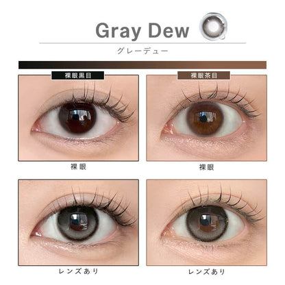 DEWLIT SILICONE HYDROGEL 1MONTH GRAY DEW(1BOX 2SHEETS) 0