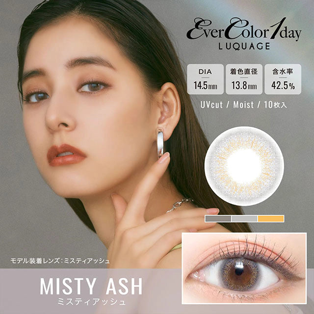 EVERCOLOR 1DAY LUQUAGE MISTY ASH(1BOX 10SHEETS) MAIN IMAGE