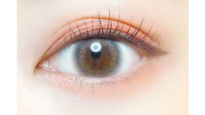 EVERCOLOR 1DAY LUQUAGE MISTY ASH(1BOX 10SHEETS) 0