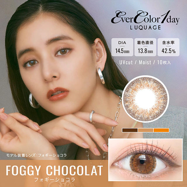 EVERCOLOR 1DAY LUQUAGE FOGGY CHOCOLATE(1BOX 10SHEETS) MAIN IMAGE