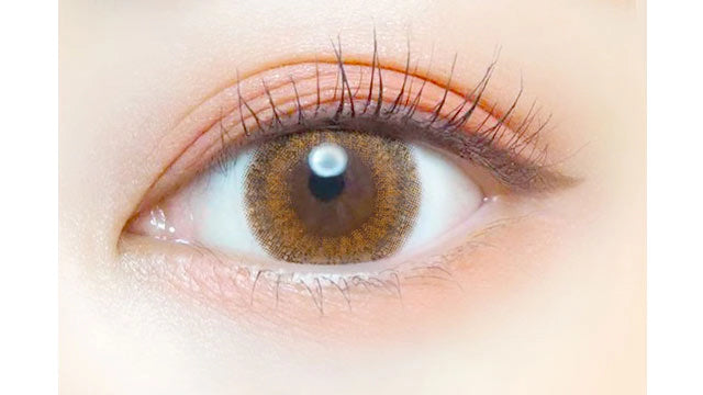 EVERCOLOR 1DAY LUQUAGE FOGGY CHOCOLATE(1BOX 10SHEETS) 0