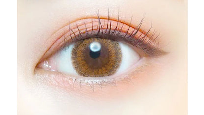 EVERCOLOR 1DAY LUQUAGE FOGGY CHOCOLATE(1BOX 10SHEETS) 0