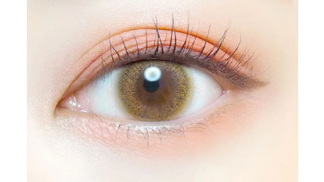 EVERCOLOR 1DAY LUQUAGE SKINNY HAZEL(1BOX 10SHEETS) 0