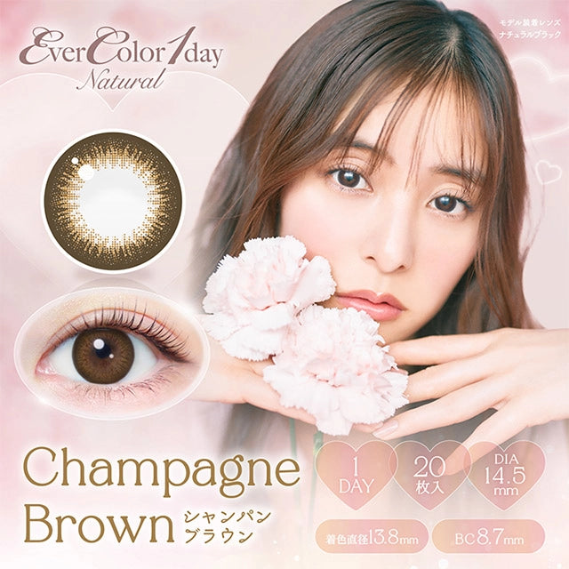 EVERCOLOR 1DAY NATURAL CHAMPAGNE BROWN(1BOX 20SHEETS) MAIN IMAGE
