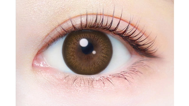 EVERCOLOR 1DAY NATURAL CHAMPAGNE BROWN(1BOX 20SHEETS) 0