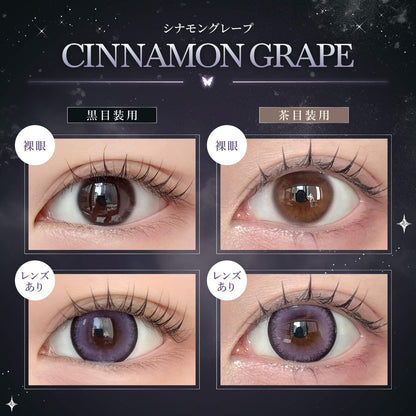 EYE CLOSET QUEEN 1DAY 14.5mm CINNAMON ANGEL(1BOX 10SHEETS) 0