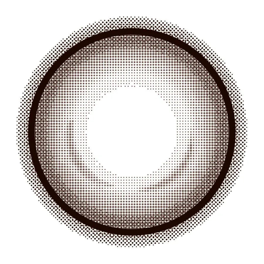 EYE CLOSET 1DAY 14.5mm HOLO BROWN(1BOX 10SHEETS) 1
