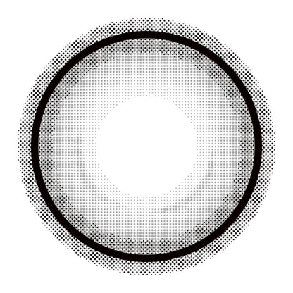 EYE CLOSET BIG 1DAY BIG HOLO GRAY(1BOX 10SHEETS) 1