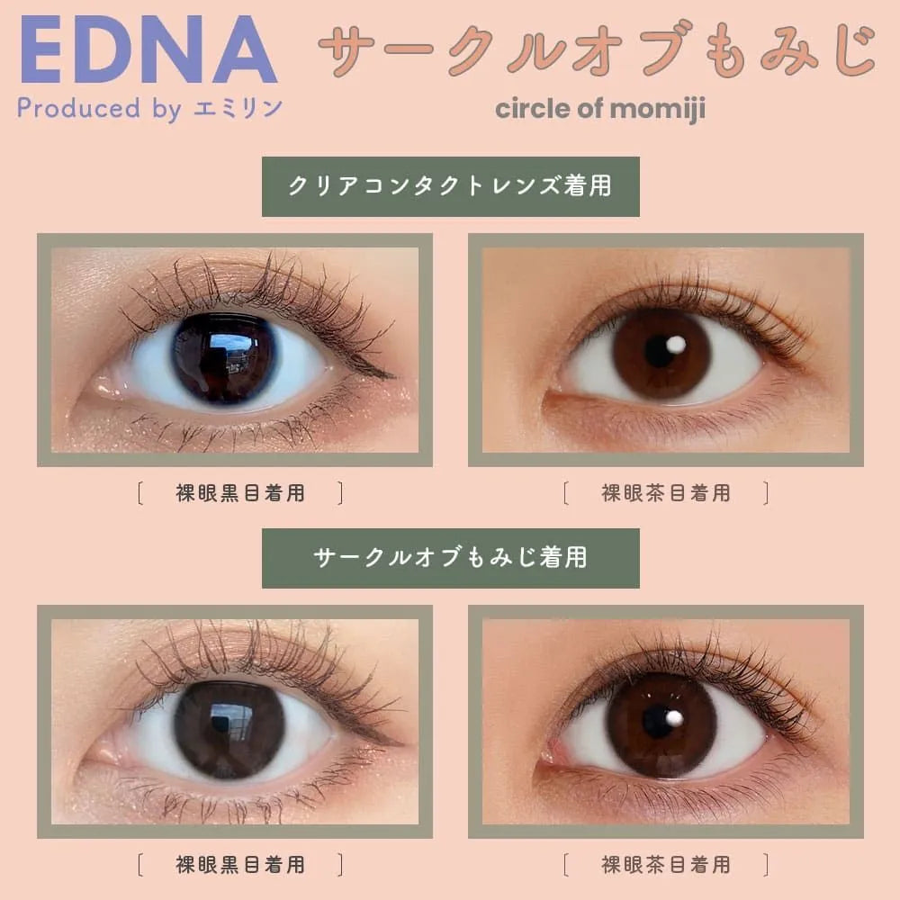 EDNA 1DAY CIRCLE OF MOMIJI(1BOX 10SHEETS) 0