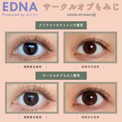 EDNA 1DAY CIRCLE OF MOMIJI(1BOX 10SHEETS) 0