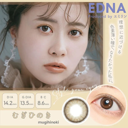 EDNA 1DAY MUGIHINOKI(1BOX 10SHEETS) MAIN IMAGE