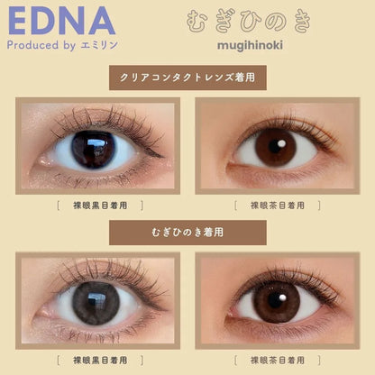 EDNA 1DAY MUGIHINOKI(1BOX 10SHEETS) 0