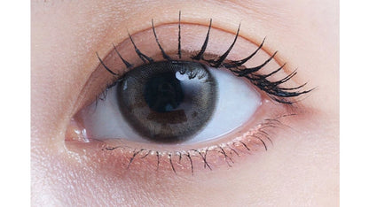 EYESTAR 1DAY DAYGLOW BROWN(1BOX 10SHEETS) 0