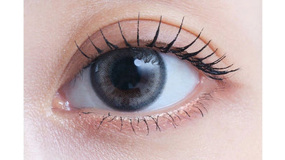 EYESTAR 1DAY DAYGLOW GRAY(1BOX 10SHEETS) 0