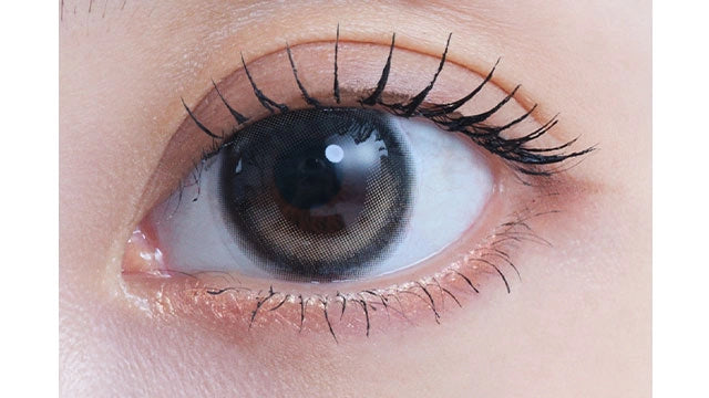 EYESTAR 1DAY ICONIC BROWN(1BOX 10SHEETS) 0