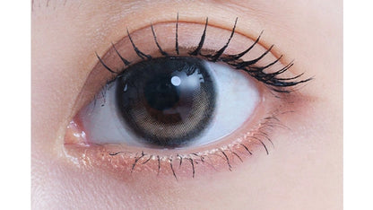 EYESTAR 1DAY ICONIC BROWN(1BOX 10SHEETS) 0