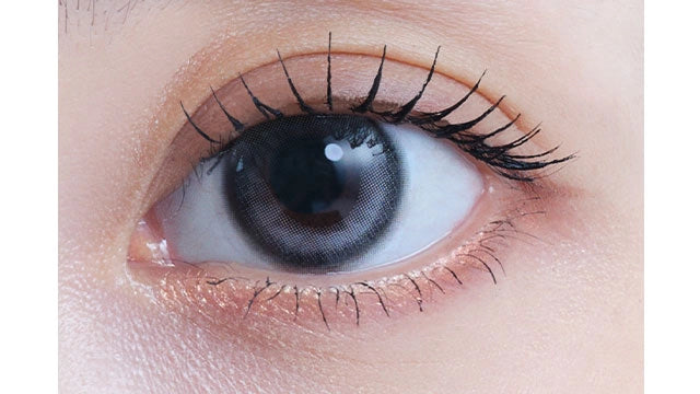 EYESTAR 1DAY ICONIC GRAY(1BOX 10SHEETS) 0