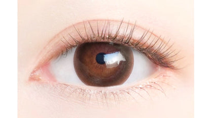 EYEGENIC BY EVERCOLOR SLEEK BROWN(1BOX 1SHEET) 0