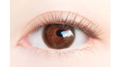 EYEGENIC BY EVERCOLOR SOUFFLE CORAL(1BOX 1SHEET) 0