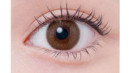 EYELIST 1DAY LOVE BROWN(1BOX 10SHEETS) 0