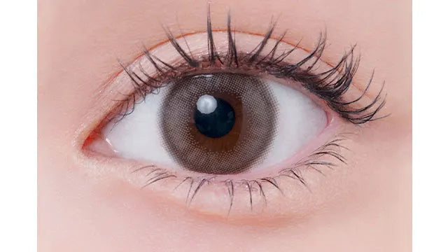 EYELIST 1DAY NUDE GREGE(1BOX 10SHEETS) 0