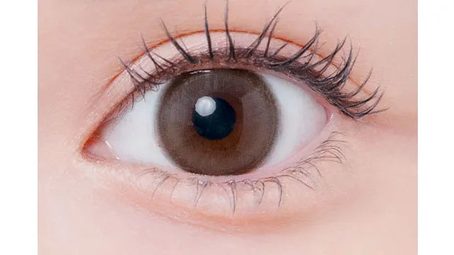 EYELIST 1DAY NUMAOCHI RING(1BOX 10SHEETS) 0
