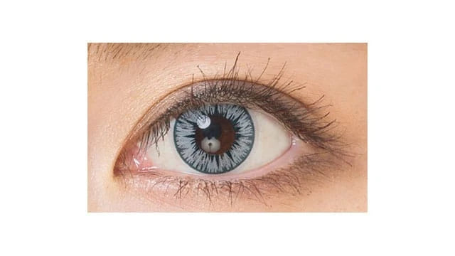 ETIA REFLET 1DAY SPICA(1BOX 6SHEETS) 0