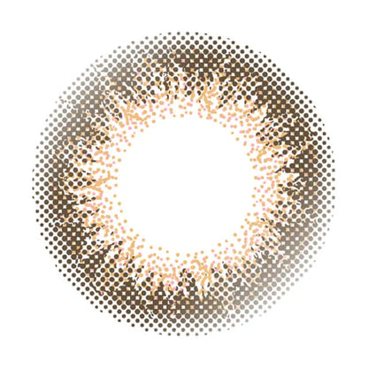 ENVIE 1DAY CORAL CHEEK(1BOX 10SHEETS) 1