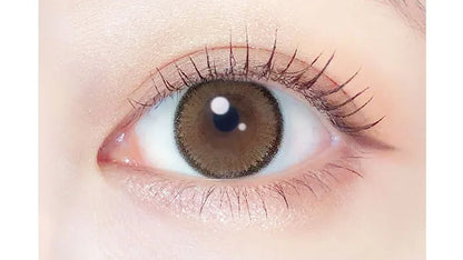EVERCOLOR 1MONTH APRICOT BROWN(1BOX 2SHEETS) 0