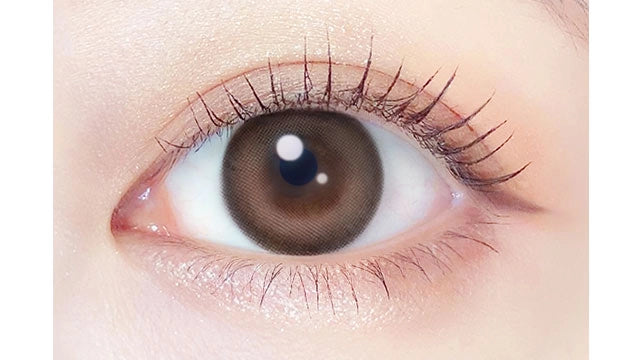 EVERCOLOR 1MONTH MILK BROWNIE(1BOX 2SHEETS) 0