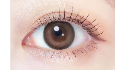 EVERCOLOR 1MONTH MILK BROWNIE(1BOX 2SHEETS) 0