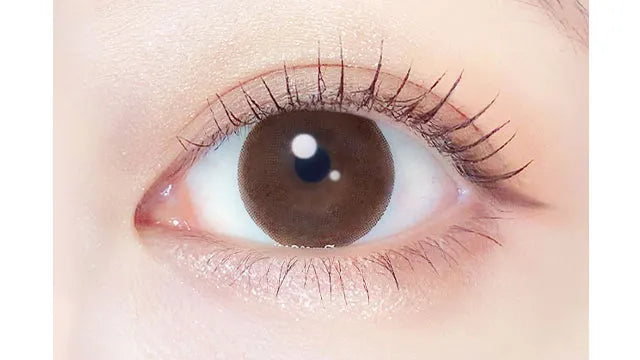 EVERCOLOR 1MONTH NATURAL BROWN(1BOX 2SHEETS) 0
