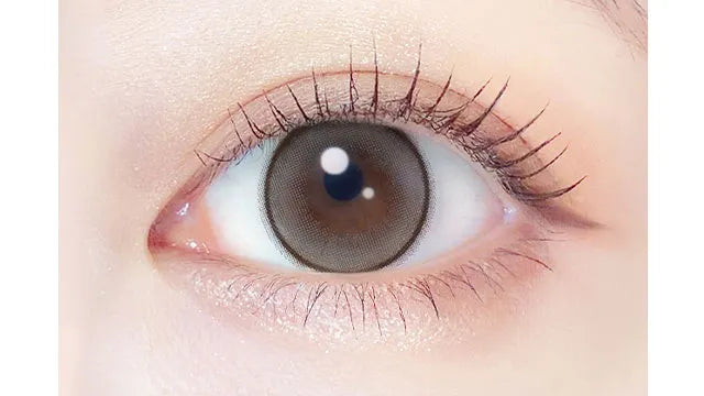 EVERCOLOR 1MONTH PEARL SNOW GRAY(1BOX 2SHEETS) 0