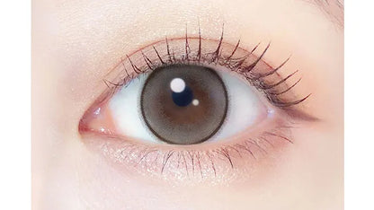 EVERCOLOR 1MONTH PEARL SNOW GRAY(1BOX 2SHEETS) 0