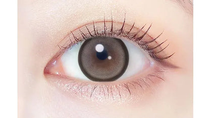 EVERCOLOR 1MONTH SYRUP RING(1BOX 2SHEETS) 0
