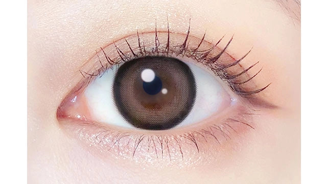 EVERCOLOR 1MONTH PEARL TEDDY MOCHA(1BOX 2SHEETS) 0