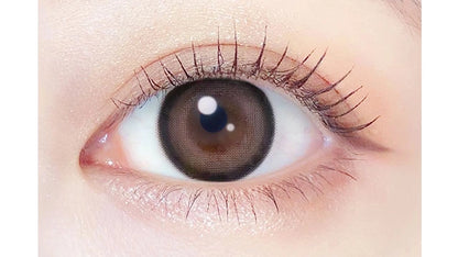 EVERCOLOR 1MONTH PEARL TEDDY MOCHA(1BOX 2SHEETS) 0